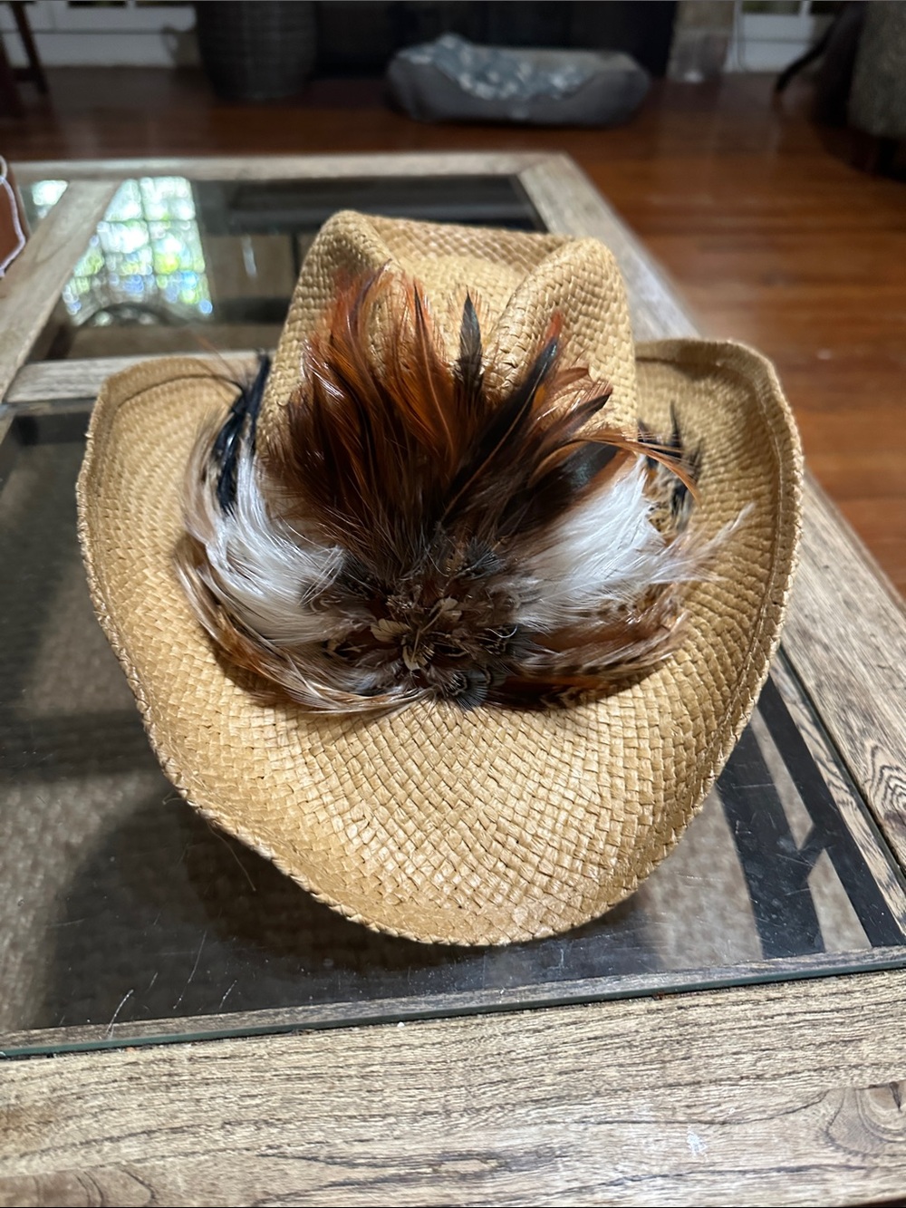 Cappelli Straw Cowboy Hat w/Feather Accent